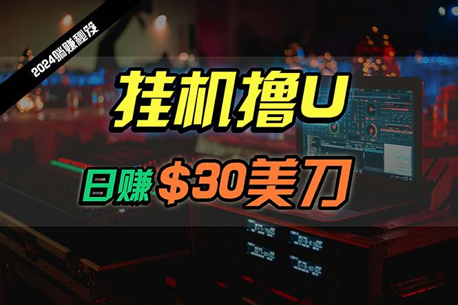 (10013期)日赚30美刀，2024最新海外挂机撸U内部项目，全程无人值守，可批量放大-骏阁网