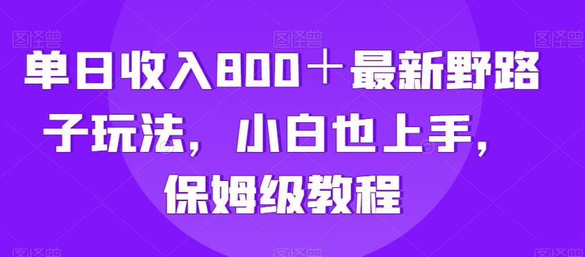 单日收入800＋最新野路子玩法，小白也上手，保姆级教程-骏阁网