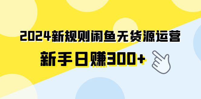 (9522期)2024新规则闲鱼无货源运营新手日赚300+-骏阁网