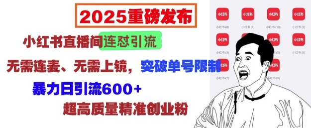 2025重磅发布：小红书直播间连怼引流，无需连麦、无需上镜，突破单号限制，暴力日引流600+-骏阁网