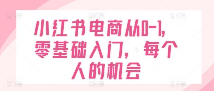 小红书电商从0-1，零基础入门，每个人的机会-骏阁网