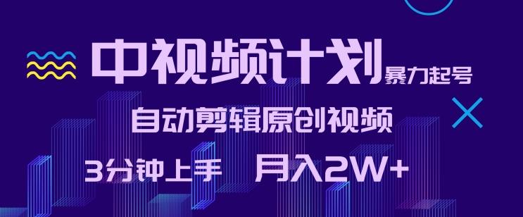 中视频计划暴力起号，自动剪辑原创视频，3分钟上手，月入2W+【揭秘】-骏阁网