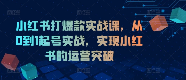 小红书打爆款实战课，从0到1起号实战，实现小红书的运营突破-骏阁网