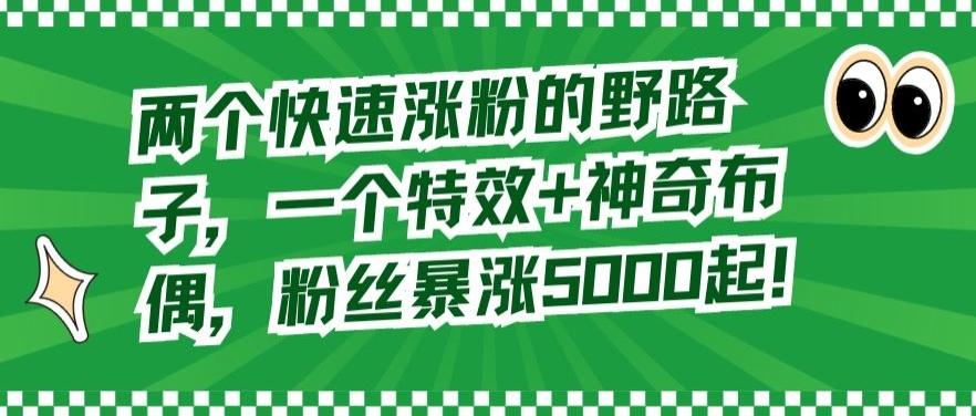 两个快速涨粉的野路子，一个特效+神奇布偶，粉丝暴涨5000起【揭秘】-骏阁网
