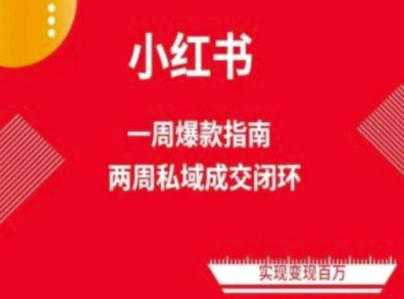 爆款小红书免费流量体系课程(两周变现)，小红书电商教程-骏阁网