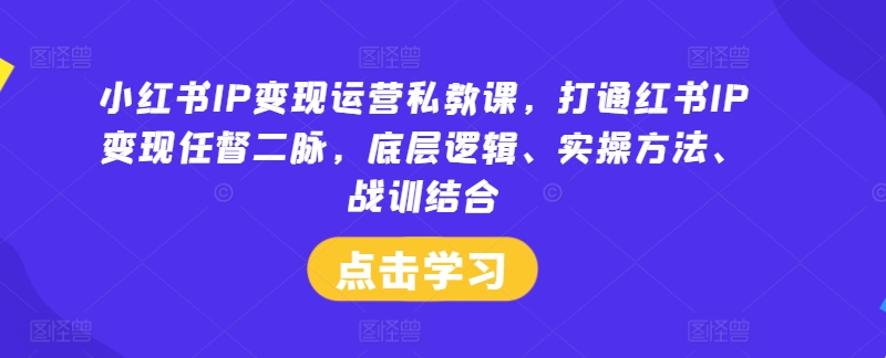 小红书IP变现运营私教课，打通红书IP变现任督二脉，底层逻辑、实操方法、战训结合-骏阁网