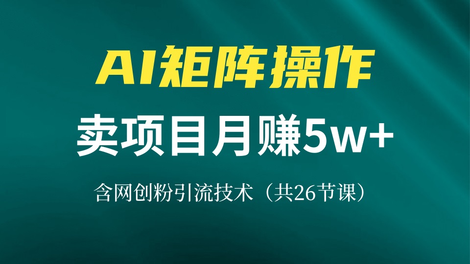 网创IP打造课，借助AI卖项目月赚5万+，含引流技术(共26节课-骏阁网