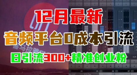 12月最新：音频平台0成本引流，日引流300+精准创业粉-骏阁网