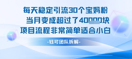 每天稳定引流30个人 当月变成超过了4个W项目流程非常简单适合小白-骏阁网
