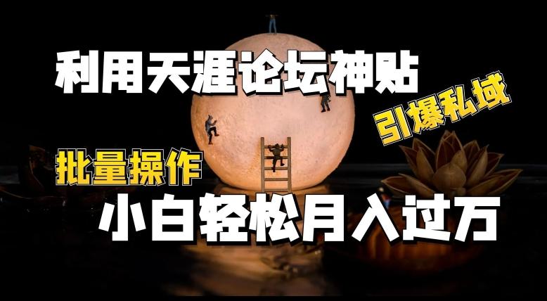 利用天涯论坛神贴，引爆私域，批量操作，小白轻松月入过w【揭秘】-骏阁网