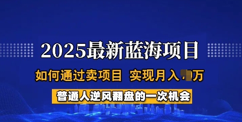 2025蓝海项目，普通人如何通过卖项目，实现月入过W，全过程【揭秘】-骏阁网