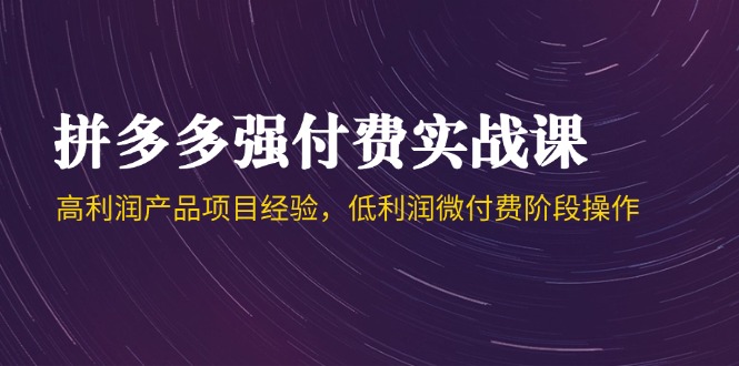 拼多多强付费实战课-44期，高利润产品项目经验，低利润微付费阶段操作-骏阁网