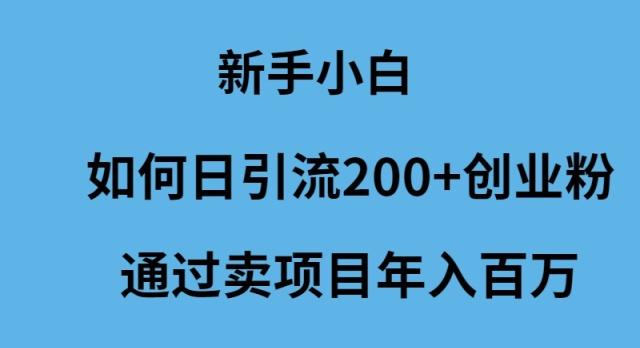 (9668期)新手小白如何日引流200+创业粉通过卖项目年入百万-骏阁网