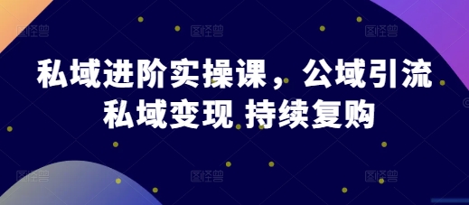 58f440cbd3037822d8b9a7e72ea327d1.jpeg 私域进阶实操课,公域引流 私域变现 持续复购