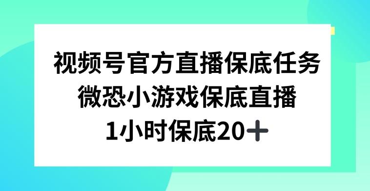 视频号直播任务，微恐小游戏，1小时20+【揭秘】-骏阁网