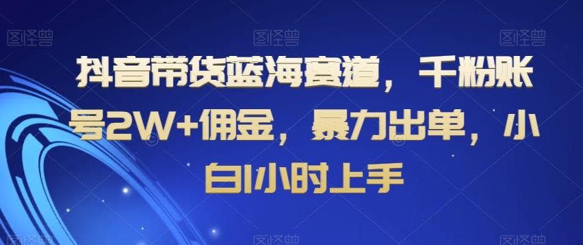 抖音带货蓝海赛道，千粉账号2W+佣金，暴力出单，小白1小时上手【揭秘】-骏阁网