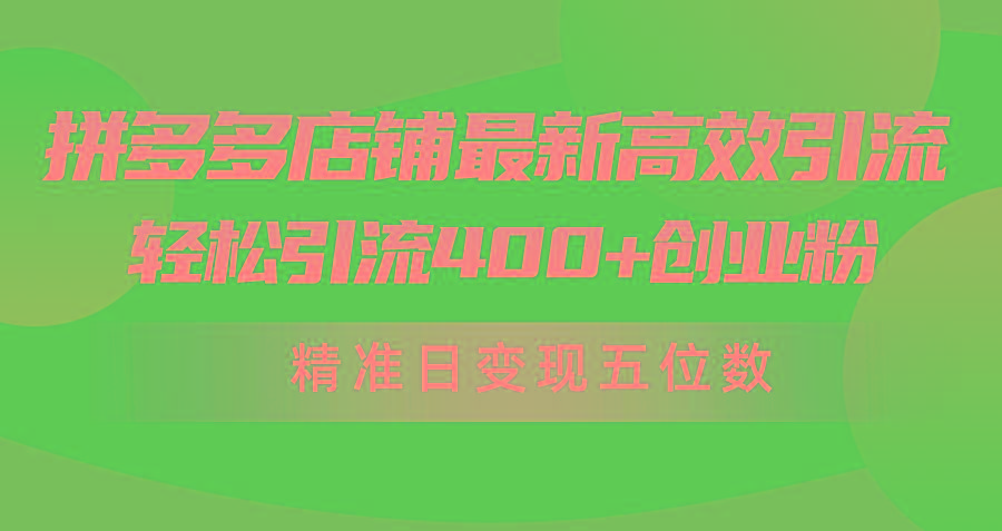 (10041期)拼多多店铺最新高效引流术，轻松引流400+创业粉，精准日变现五位数！-骏阁网