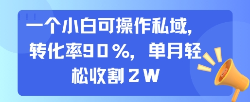 一个小白可操作私域，转化率90%，单月轻松收割2W-骏阁网