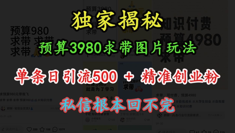 预算3980求带 图片玩法，单条日引流500+精准创业粉，私信根本回不完-骏阁网
