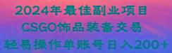 2024年最佳副业项目 CSGO饰品装备交易 轻易操作单账号日入200+-骏阁网