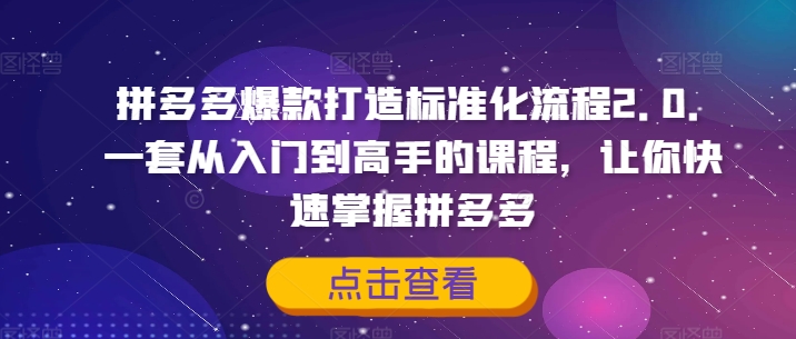 拼多多爆款打造标准化流程2.0，一套从入门到高手的课程，让你快速掌握拼多多-骏阁网