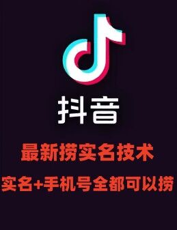最新技术抖音捞实名+捞手机号技术，抖音直播封禁释放十名/手机号，直接替换出来!-骏阁网