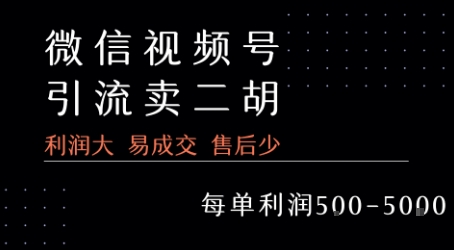 视频号卖二胡教程，利润大 易成交 售后少，一单利润5张+-骏阁网
