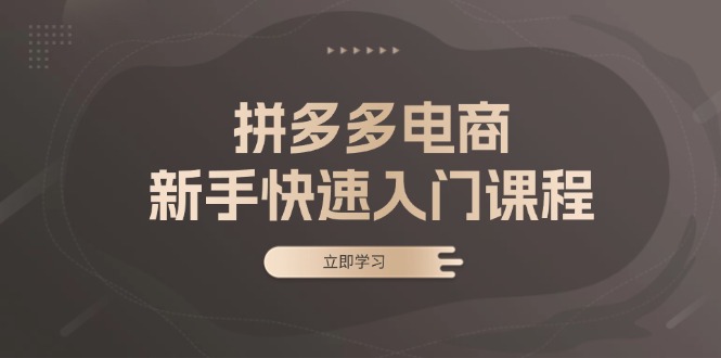 6d28b6d79690abb25ce9af5c4a642280.jpeg 拼多多电商新手快速入门课程:涵盖基础、实战与选款,助力小白轻松上手