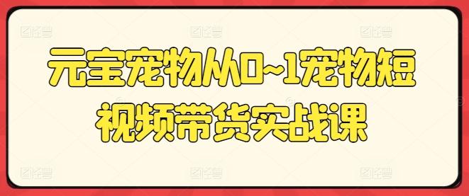 元宝宠物从0~1宠物短视频带货实战课-骏阁网