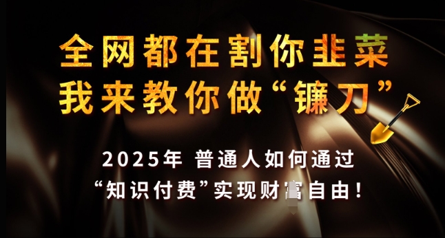 全网都在割你韭菜，我来教你做镰刀，2025年普通人如何通过 知识付费 实现财F自由【揭秘】-骏阁网