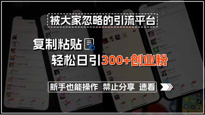 728b703fc075d9d16915d1251308d6ea.jpeg 被大家忽略的引流平台,复制粘贴轻松日引300+创业粉,新手也能操作,禁…
