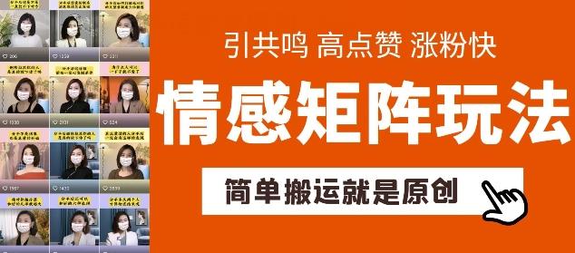简单搬运，情感矩阵玩法，涨粉速度快，可带货，可起号【揭秘】-骏阁网