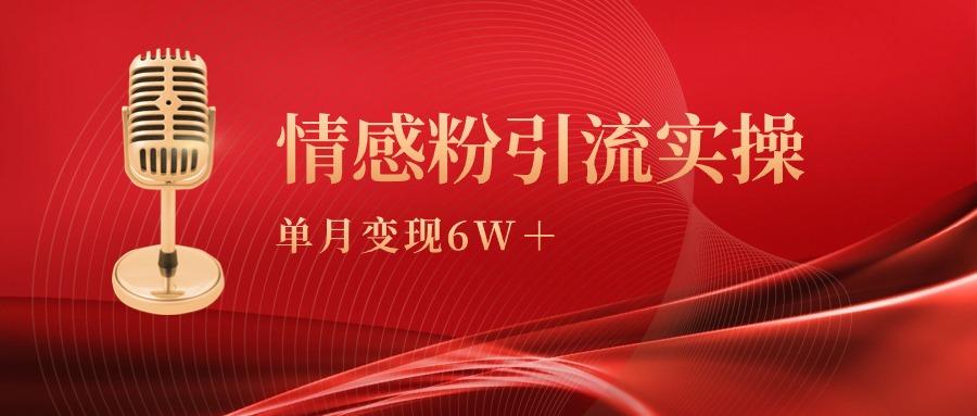 (9473期)单月变现6w+，情感粉引流变现实操课-骏阁网