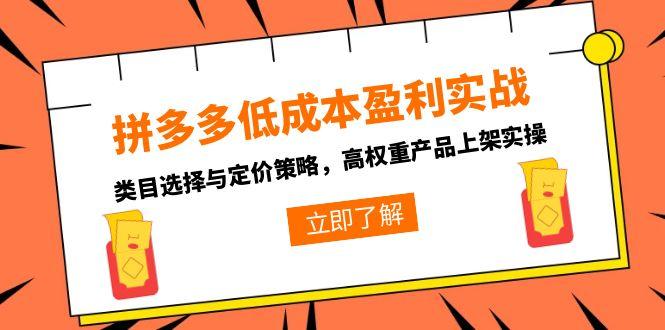 拼多多低成本盈利实战，类目选择与定价策略，高权重产品上架实操-骏阁网