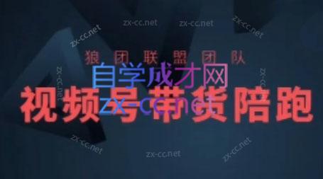 77b085831e3aa774e21a094e885b2022.jpeg 狼团联盟·2024视频号带货