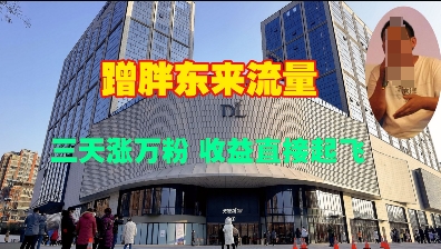 蹭胖东来流量，三天涨万粉，收益直接起飞-骏阁网