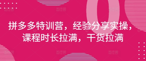 拼多多特训营，经验分享实操，课程时长拉满，干货拉满(更新25年4月)-骏阁网