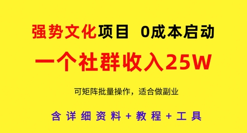 强势文化项目，一个社群收入25个W，0成本启动，可矩阵批量操作，原创详细实操教程-骏阁网