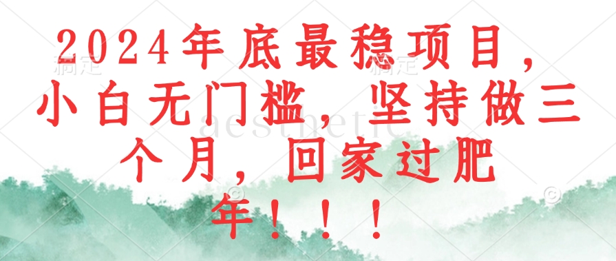 2024年底最稳项目，小白无门槛，坚持做三个月，回家过肥年！！！-骏阁网