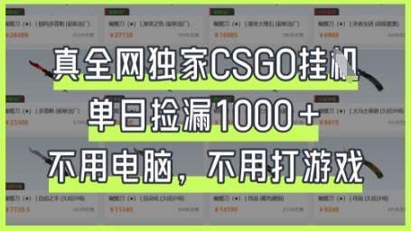 真全网独家CSGO挂G，单日捡漏1k+【揭秘】-骏阁网