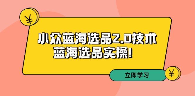 拼多多培训第33期：小众蓝海选品2.0技术-蓝海选品实操！-骏阁网