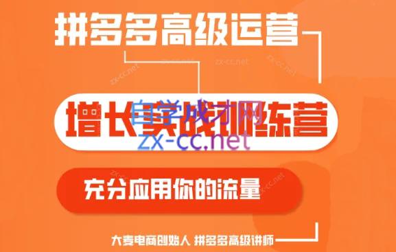 大麦老师·拼多多单品爆款打造课程(更新6月)-骏阁网