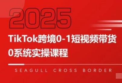 大亿老师·TikTok跨境0-1短视频带货-骏阁网