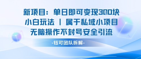 新项目单日即可变现3张的小白玩法无脑操作不封号安全引流-骏阁网