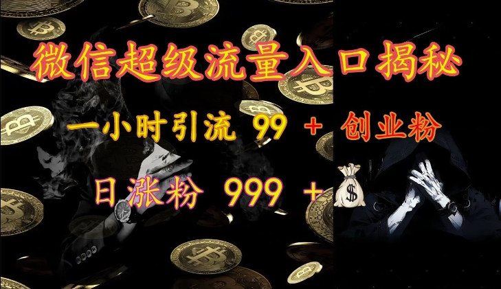 微信超级流量入口揭秘：一小时引流 99 + 创业粉，日涨粉 999 +-骏阁网