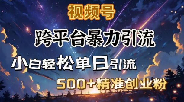 跨平台暴力引流，私域完美闭环，日引500+精准创业粉-骏阁网