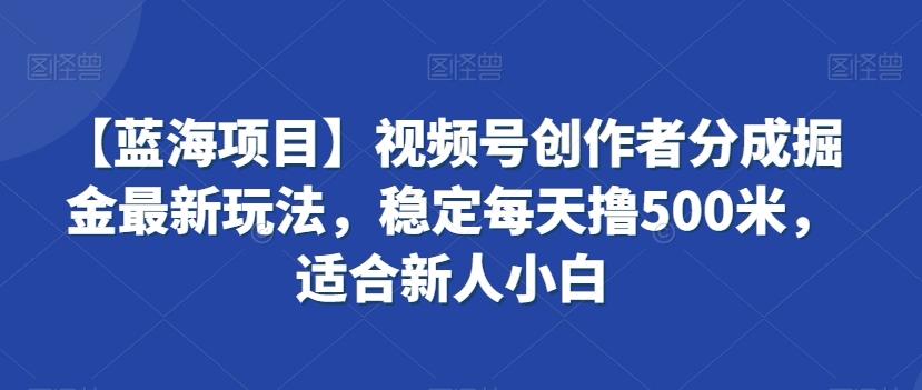 【蓝海项目】视频号创作者分成掘金最新玩法，稳定每天撸500米，适合新人小白【揭秘】-骏阁网