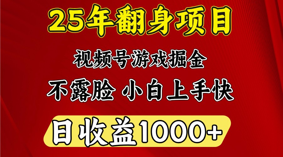 一天收益1000+ 25年开年落地好项目-骏阁网