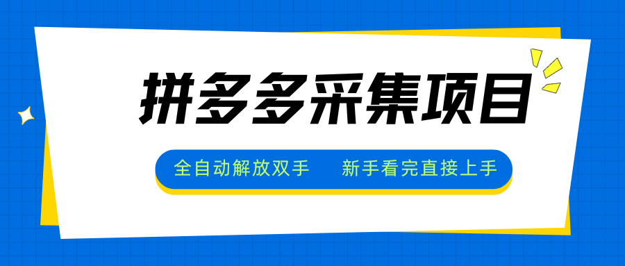 拼多多采集项目，全自动解放双手，单号日入30+-骏阁网
