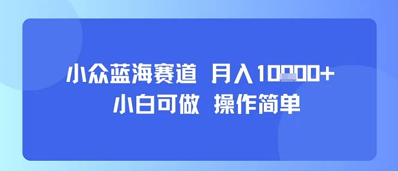 小众蓝海赛道，小白可做，操作简单，每天30分钟，月入1W+-骏阁网